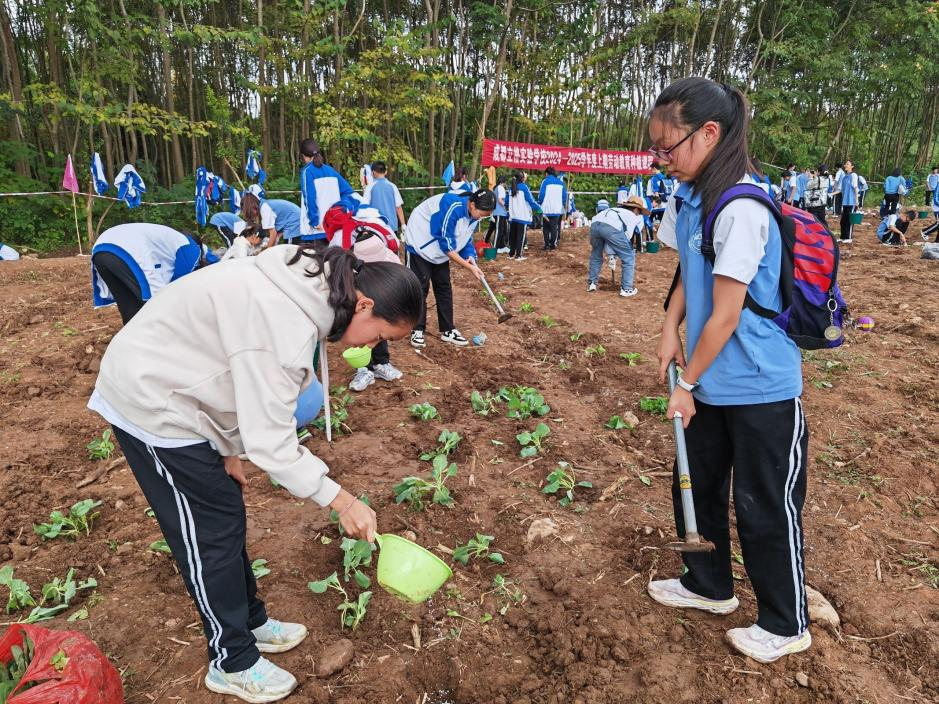 图片 7.png 图片 7.png