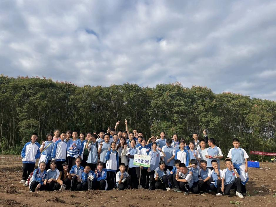 图片 8.png 图片 8.png