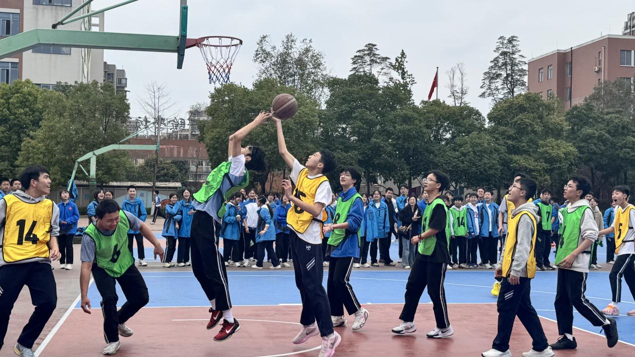 图片3.jpg 图片3.jpg