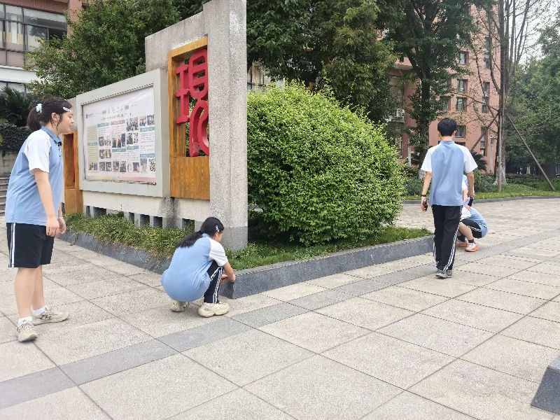 图片6.png 图片6.png
