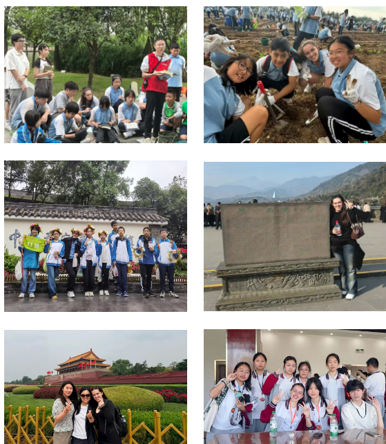 fa7c48c4-4b09-4d9a-96bc-fca6f4c7b59a.png fa7c48c4-4b09-4d9a-96bc-fca6f4c7b59a.png